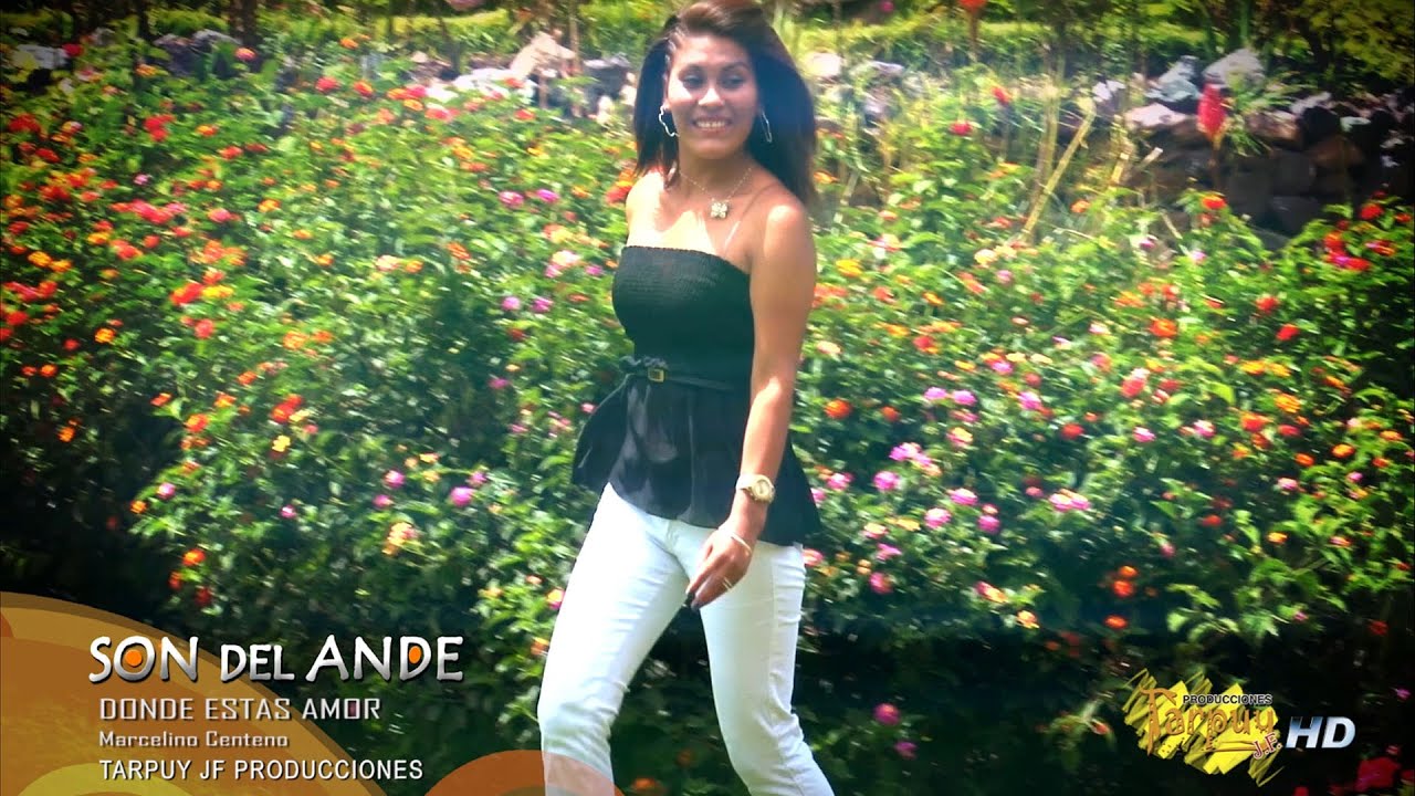 Son del Ande  Video Clip  