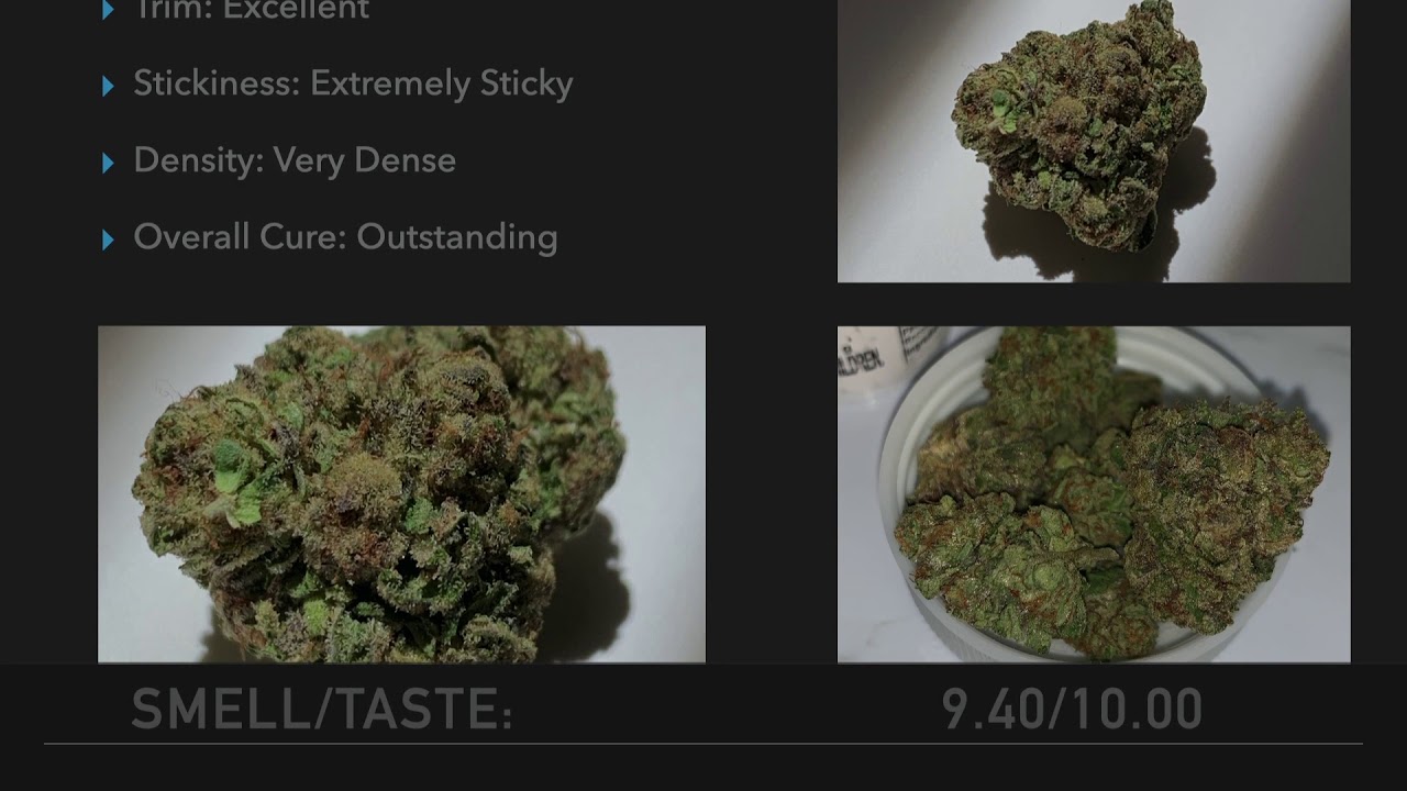FLMCC Minute Reviews: GrowHealthy - Wookie Girl Flower