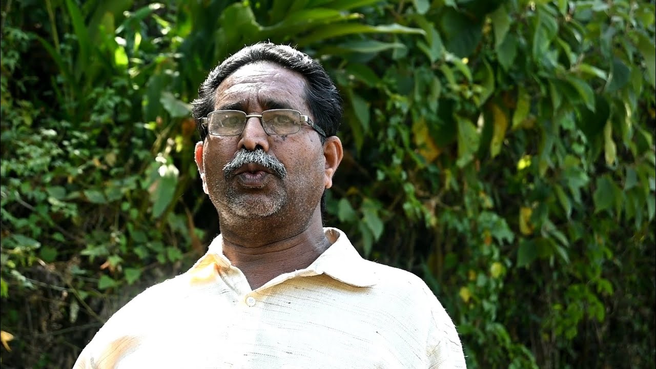 റബർ മുറിച്ച് തേക്ക് കൃഷി ചെറുപുഴ തിരുമേനിയിലെ ജോർജ് മാഷ് ഇനി കോടീശ്വരൻ.