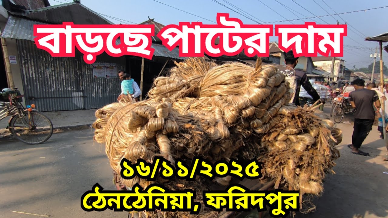 16.11.2025 বাড়&zwnj;ছে পা&zwnj;টের দাম | আজকের পাটের বাজার | pater bazar today | AGRO BD Faridpur.