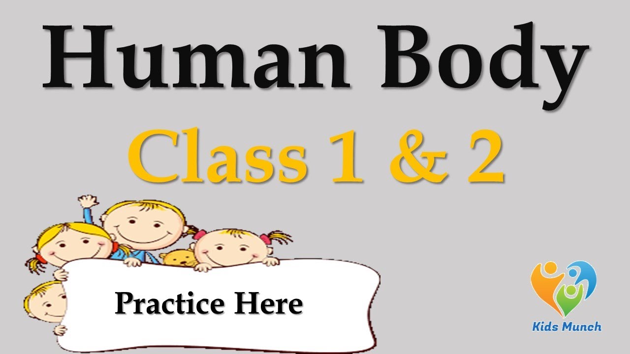 Human Body Quiz | Human Body Quiz for class 1,2 and 3 | MCQ based on Human Body 2022 |Kids Knowledge