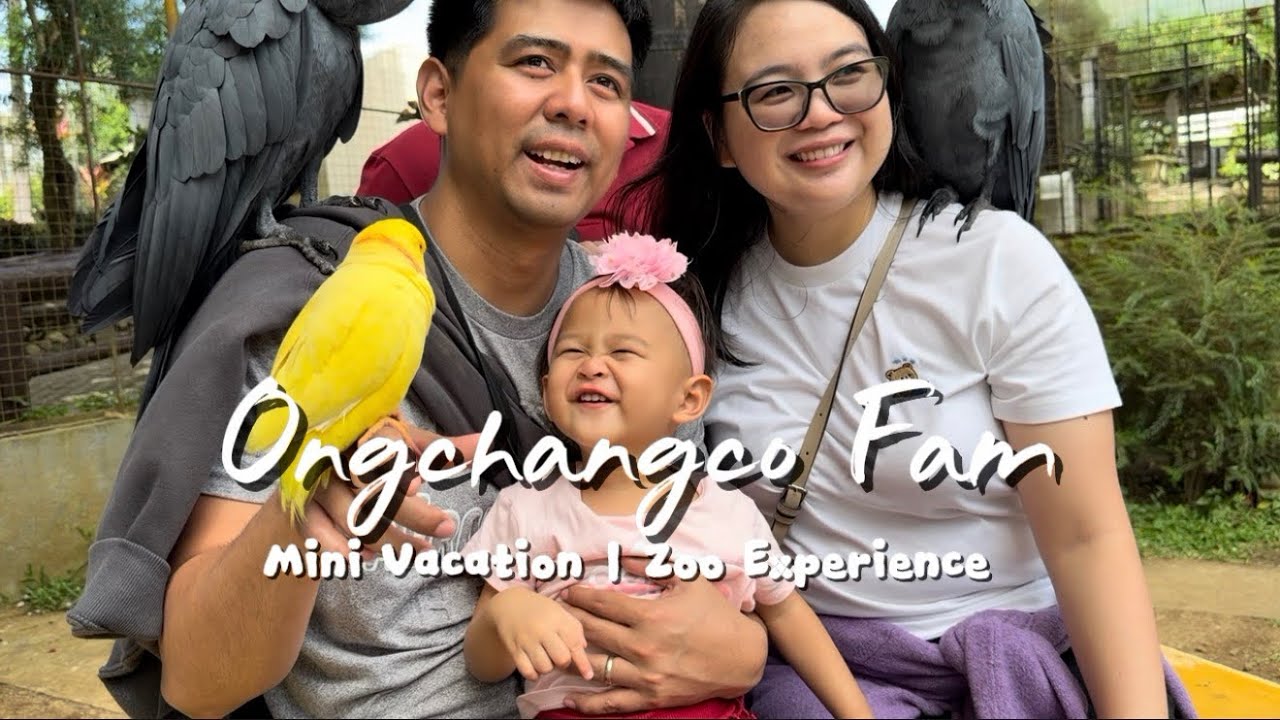 Mini Vacation | Yoki’s Farm | Animal Encounter