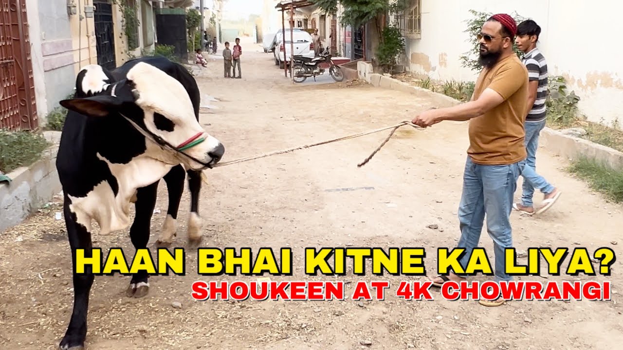 Haan Bhai Kitne Ka Le Liya? Qurbani 2024 K Janwar Agaye || 4K Chowrangi North Karachi || Bakra Eid
