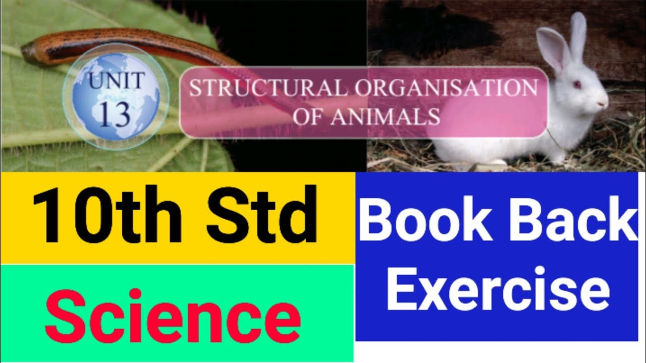 10th Std - Science | Structural Organisation Of Animals - Book Back Exercise