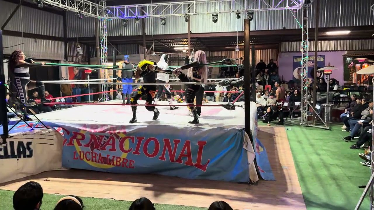 Tiger Man Jr,Pegasuss,Peluchin,Felina vs Zinicko,Hijo De Black Skeller,Zafiro,Bipolar
