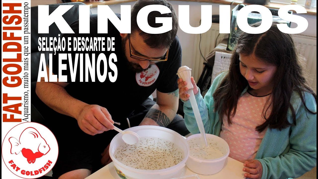 KINGUIO - SELEÇÃO E DESCARTE DE ALEVINOS
