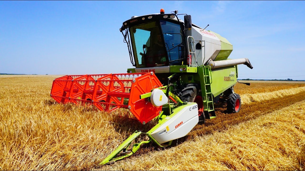 Żniwa 2019/Jęczmień Ozimy/