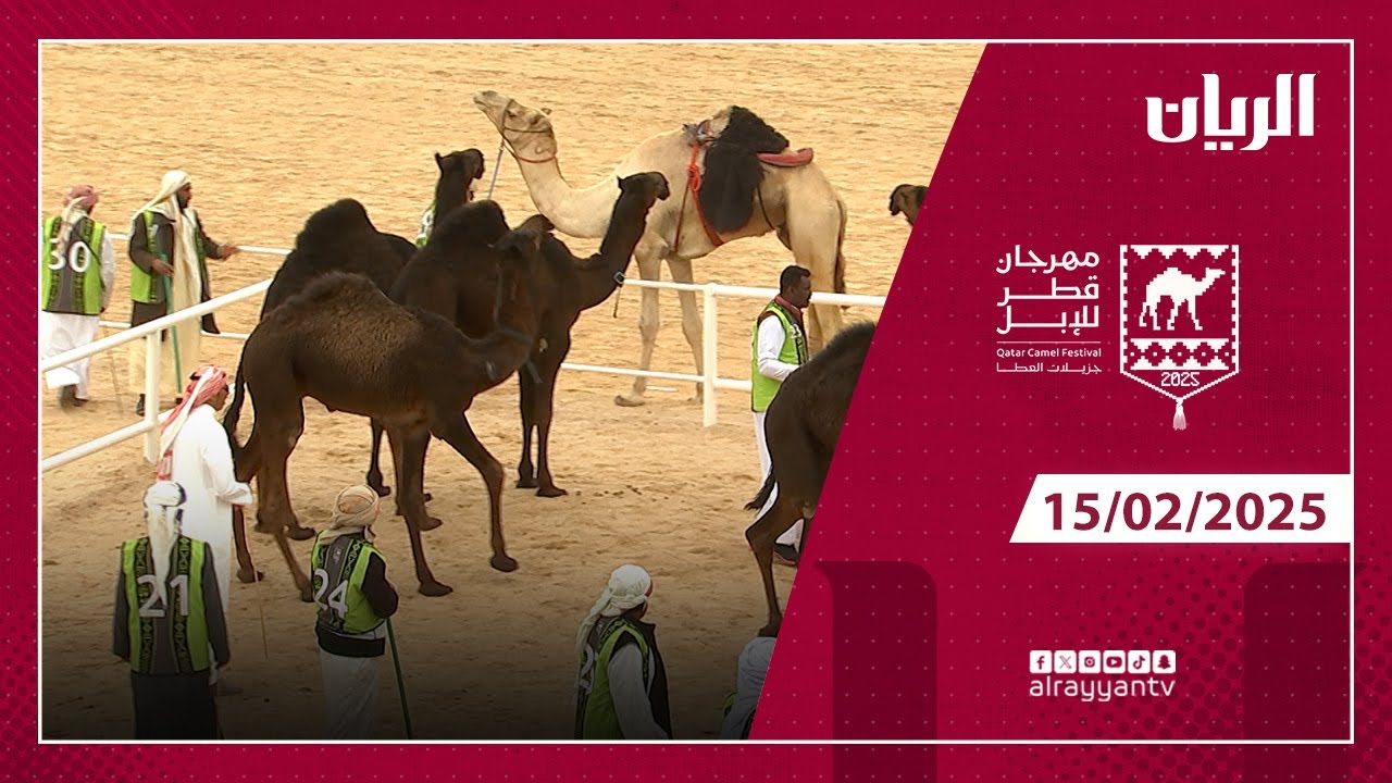 مهرجان قطر للإبل - جزيلات العطا - 15-02-2025