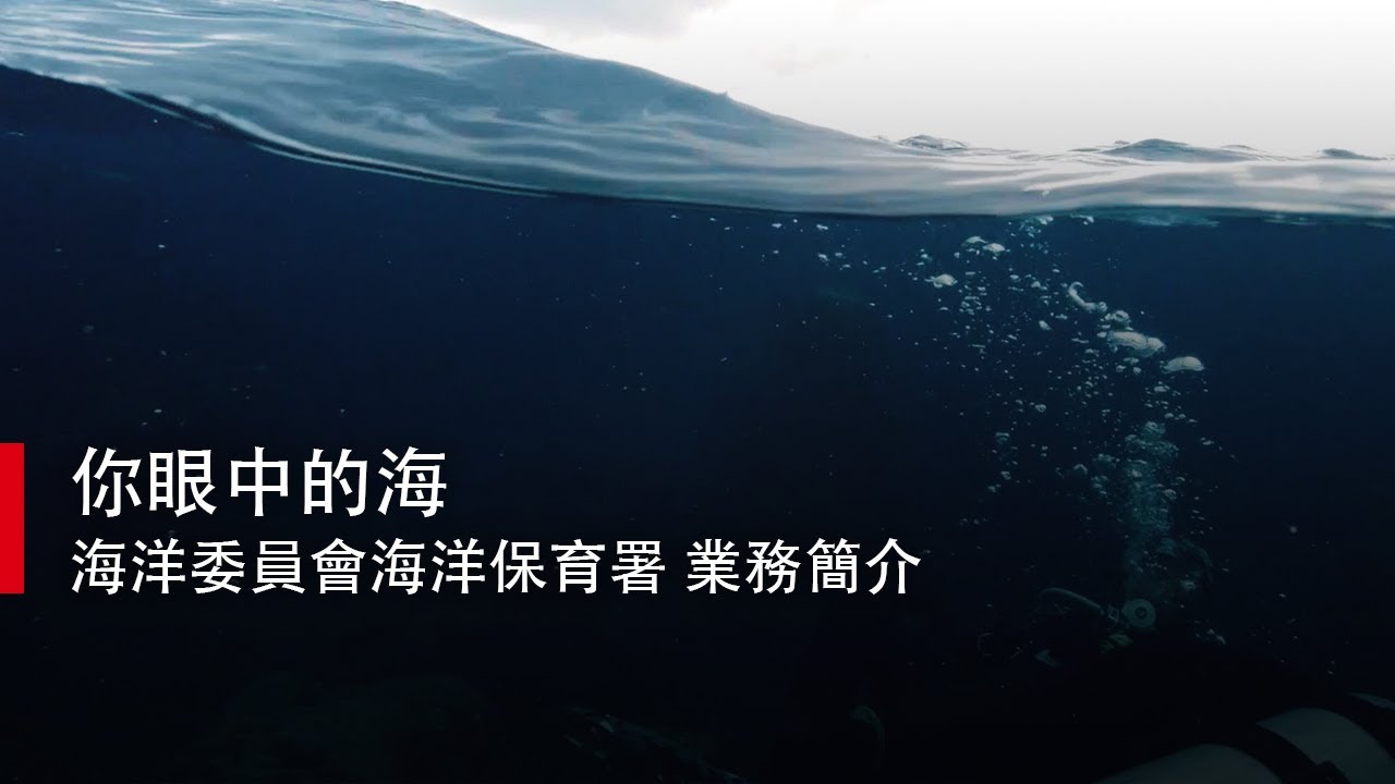 【凹凸廣告】你眼中的海｜海洋委員會海洋保育署 業務簡介