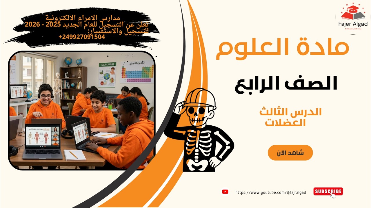 علوم الصف الرابع وظائف الهيكل العظمى