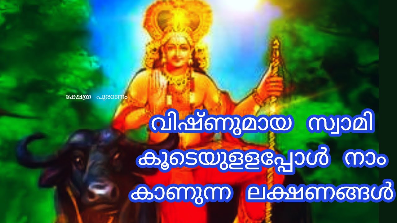 ഈ അത്ഭുതങ്ങൾ സംഭവിക്കുന്നത് ചാത്തൻ സ്വാമി കൂടെ ഉള്ളപ്പോഴാണ്