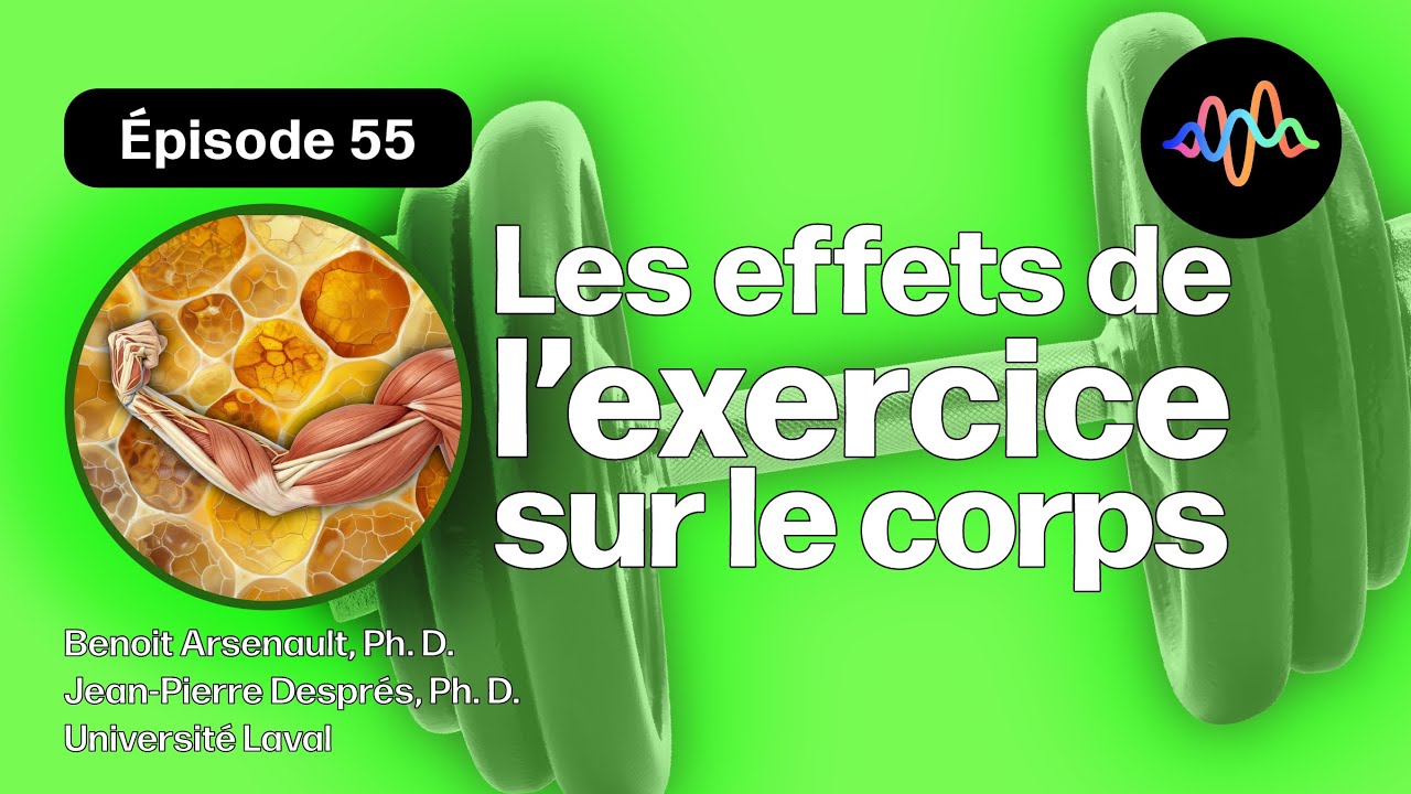 #55 - Quels sont les effets de l’activité physique sur la composition corporelle ?