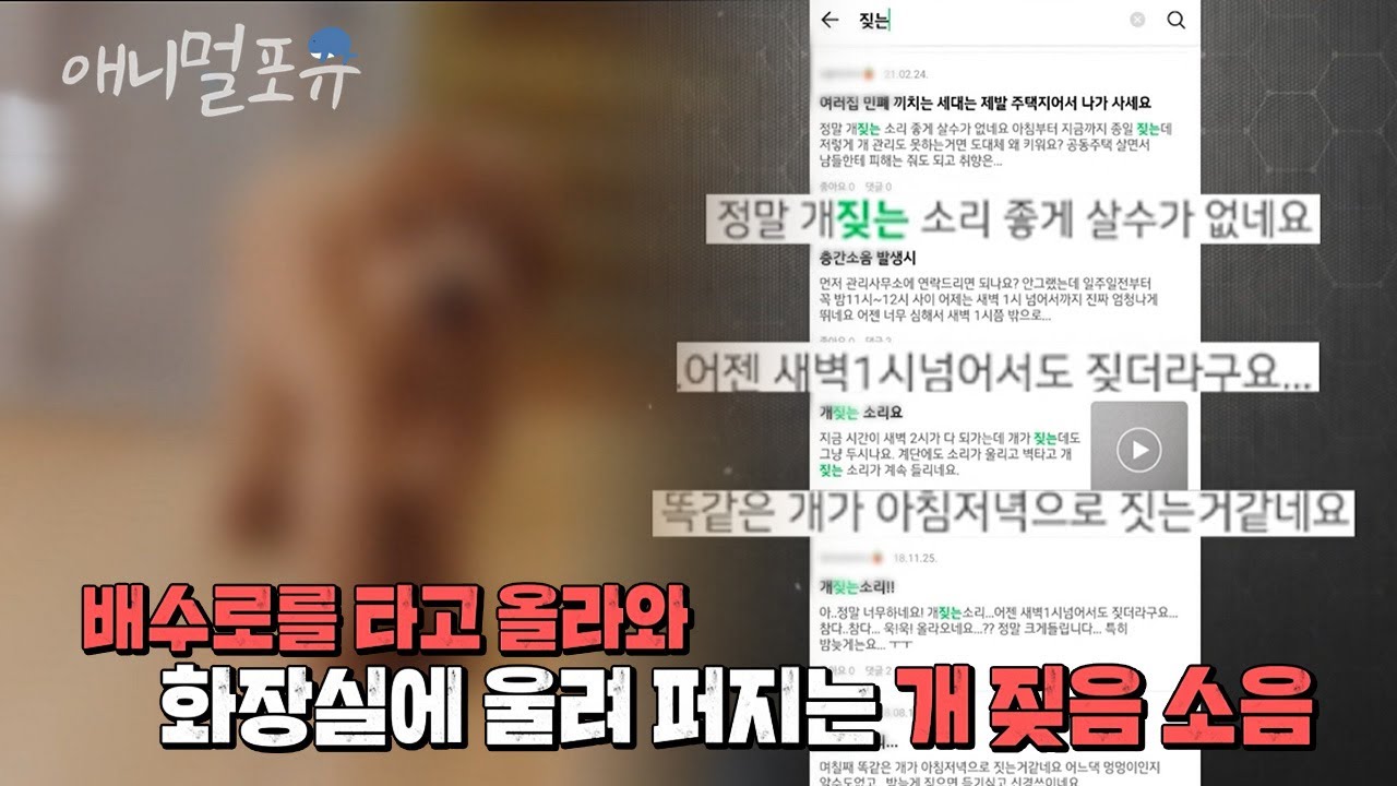 ※뒷목주의※ 개 짖는 소리 좀 안 나게 해라!!!! 이웃 간 분란을 부르는 층견 소음 | KBS 굿모닝 대한민국 라이브 220422 방송
