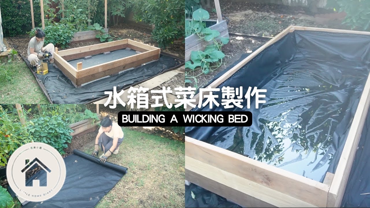後院菜園改造 EP. 2｜打造水箱式菜床全記錄｜保姆級教學打造Wicking Bed