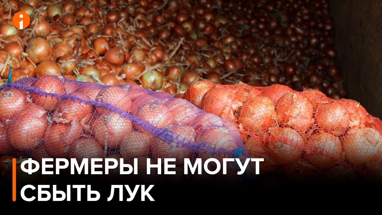 Казахстанские фермеры не могут сбыть лук даже по минимальной цене