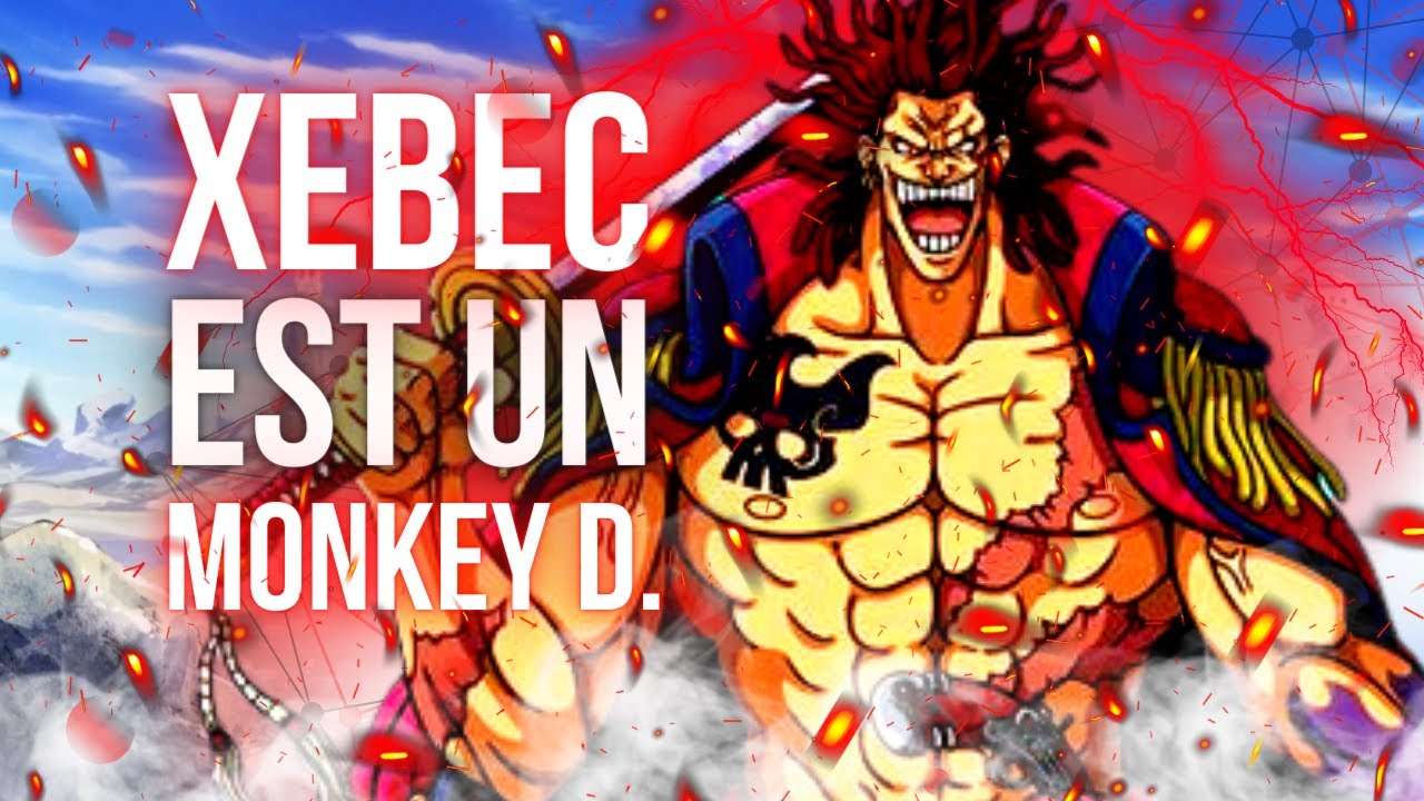 Xebec est le frère de Garp ?! | Spécial 10 000 abonnés