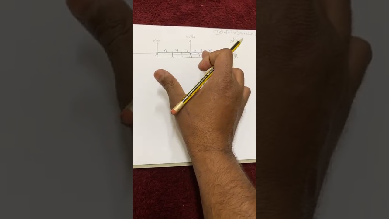 التغذيه في الضأن