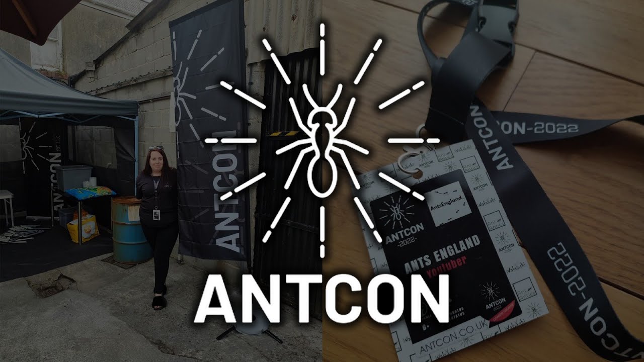 ANTCON 2022!!! #ANTANTICS #WAKOOSHI #ANTS