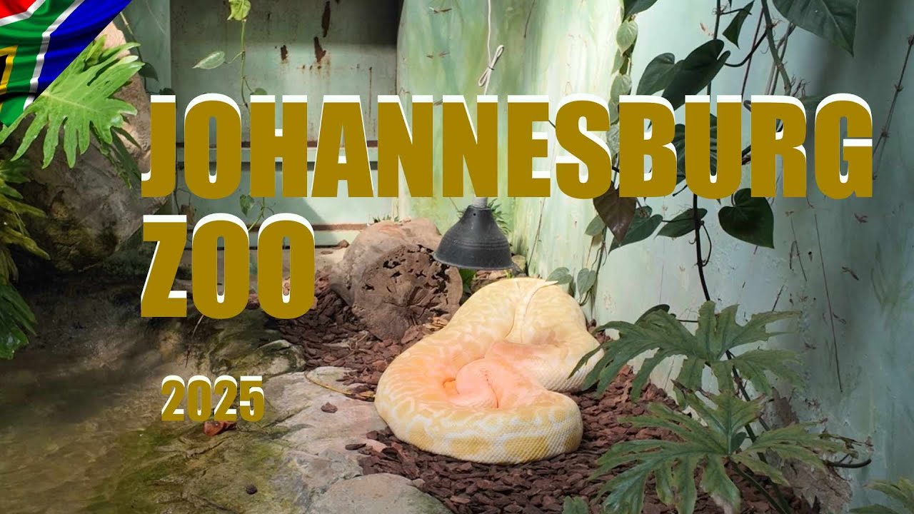 🇿🇦The Joburg Zoo 2025