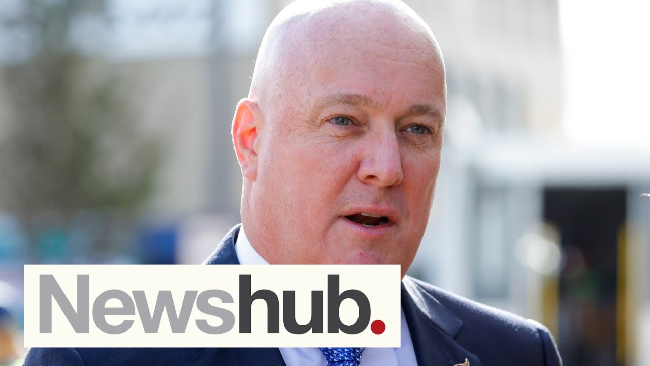Luxon ordered, then cancelled, Tesla on taxpayer dime while slamming Govt's subsidy scheme | Newshub