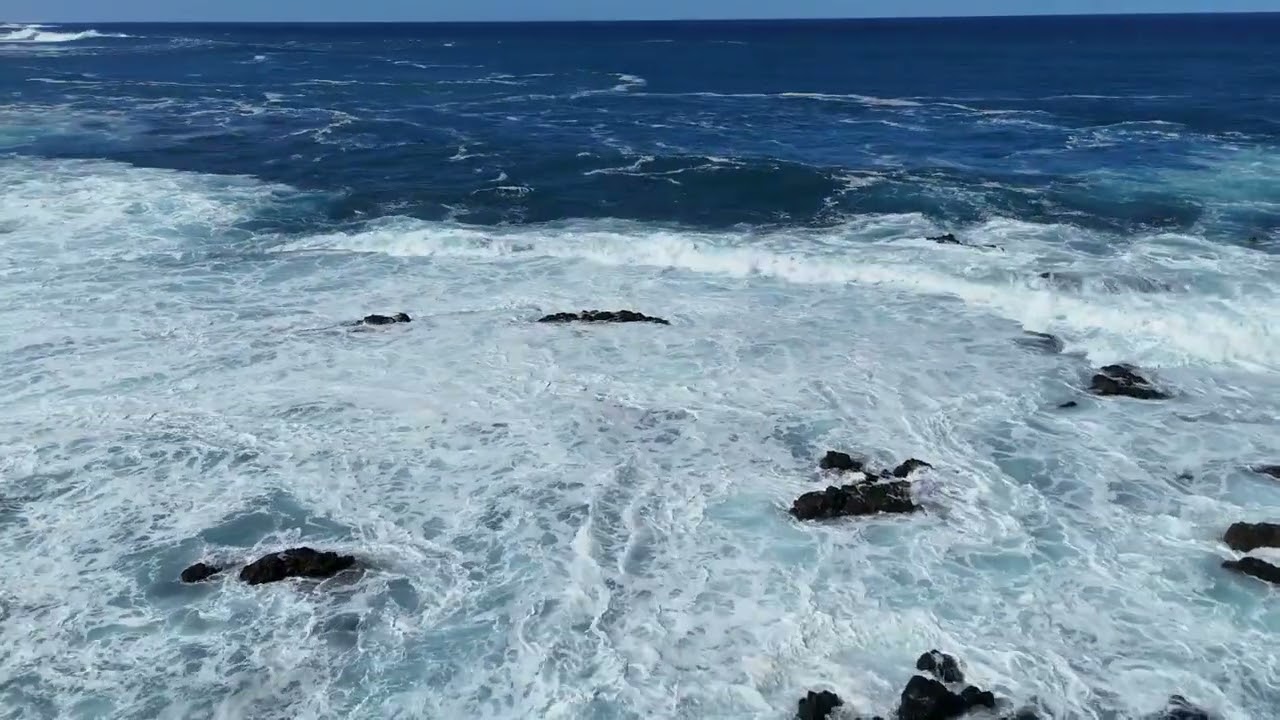 Buenavista 2