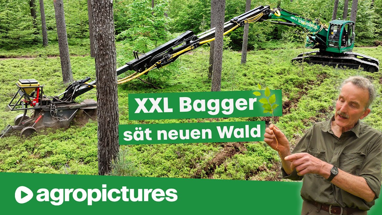 Forst Doku: XXL Bagger sät neue Bäume im Wald | IMPEX Frässaat Technik für den naturnahen Mischwald