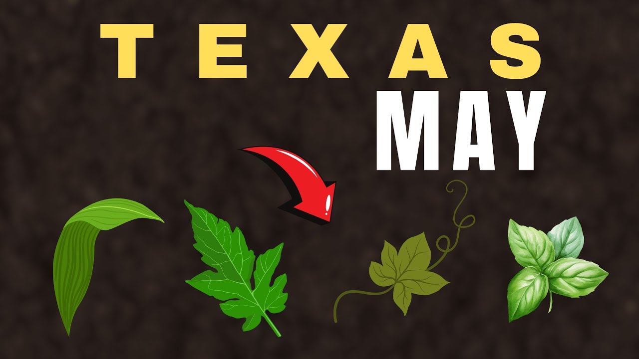 Plant These Now Texas: Top Crops to Thrive in Long Hot Summers
