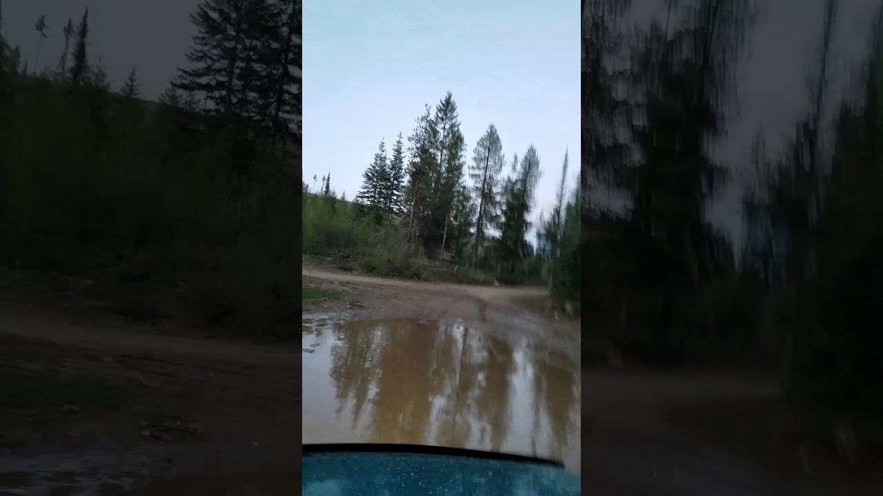 4bt Cummins Ford Ranger Fully Built with 6.0 powerstroke turbo