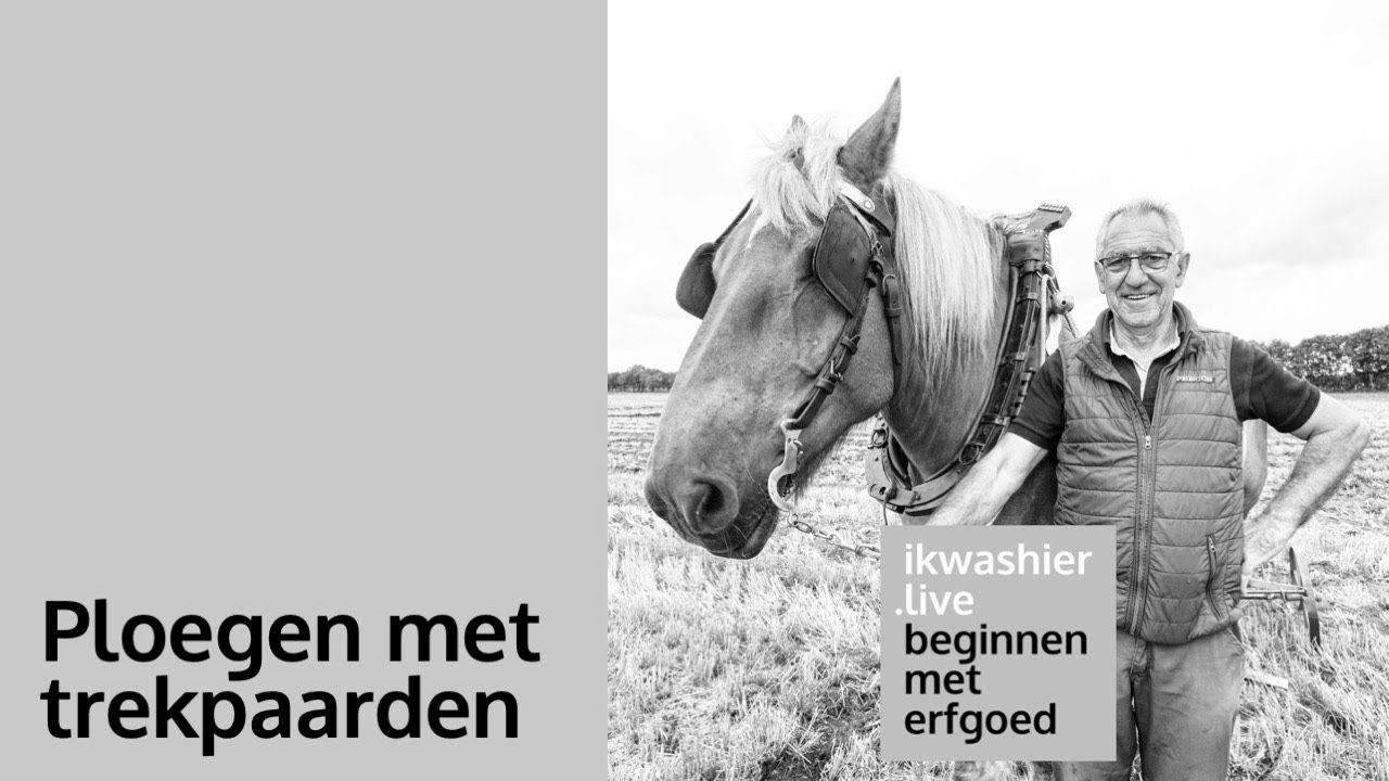 Beginnen met erfgoed 01: Ploegen met trekpaarden - Rinus Damen op ikwashier.live