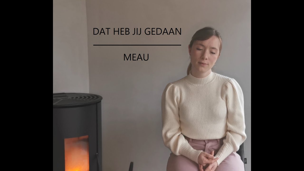 Dat heb jij gedaan - MEAU cover