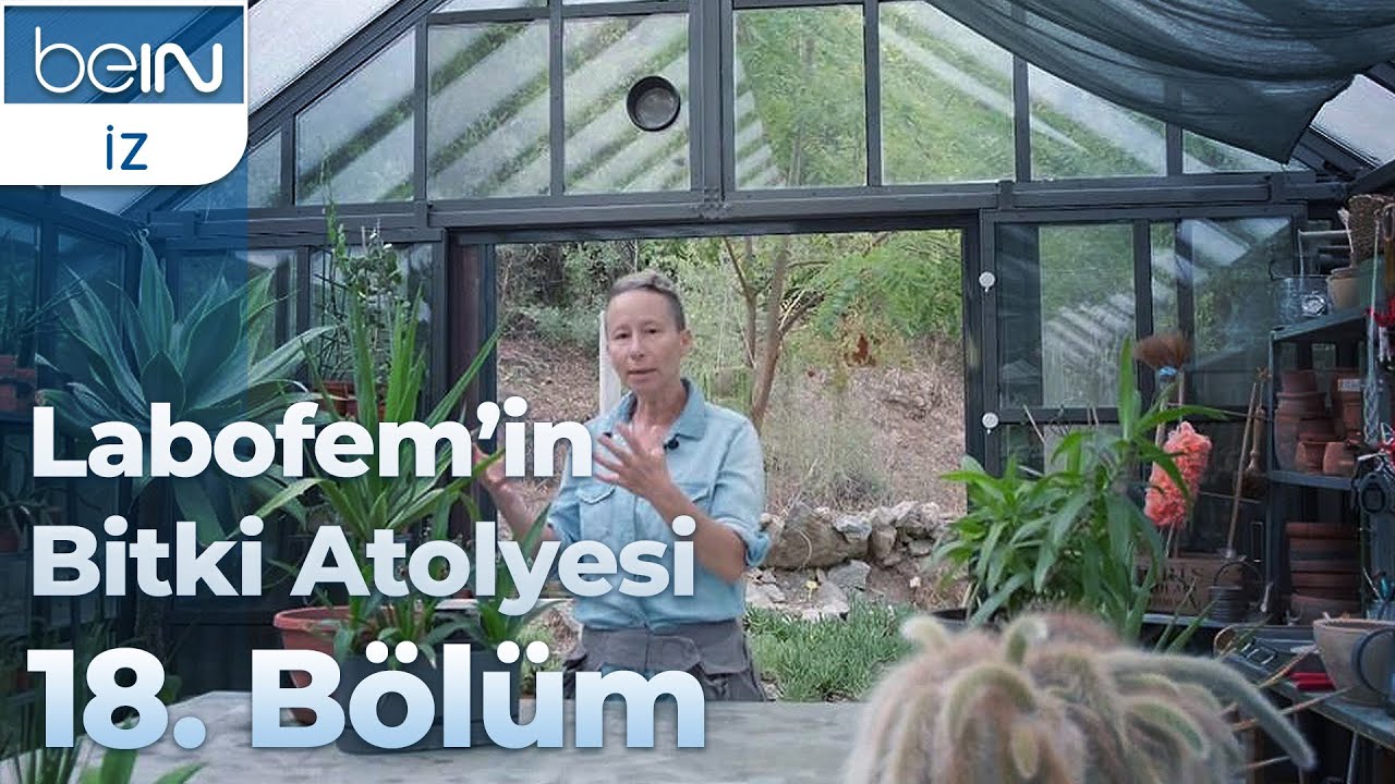 Labofem'in Bitki Atölyesi 18. Bölüm