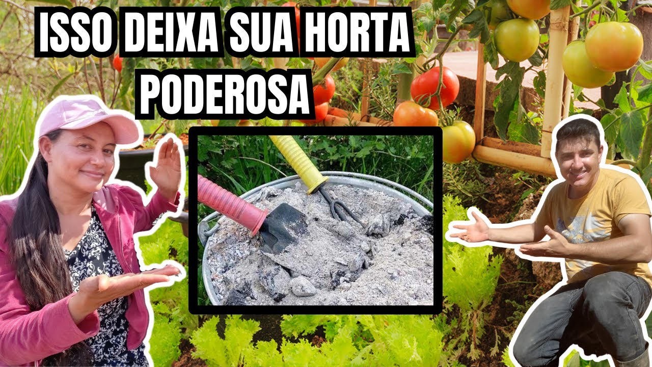 CINZAS DE MADEIRA NAS PLANTAS - BENEFÍCIOS INACREDITÁVEIS - VIDA VERDE SISTEMAS SUSTENTÁVEIS
