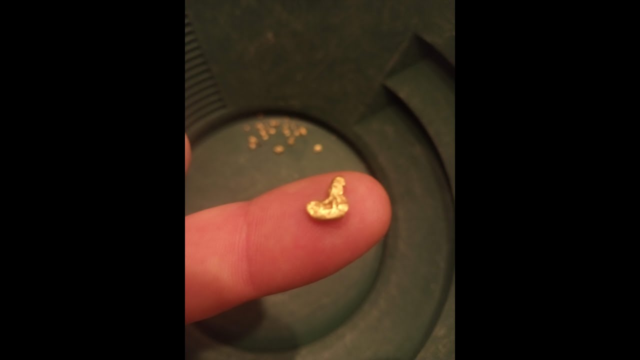 Gold Panning At Home!