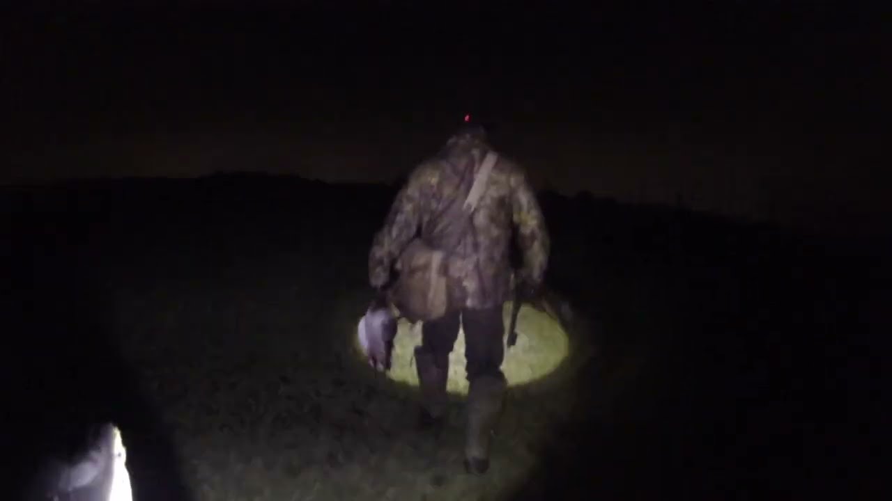 Duck shooting 2026