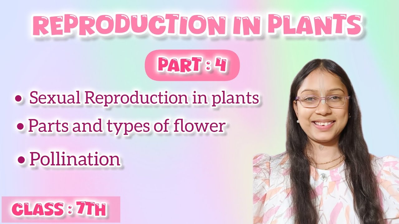Part:4 l Sexual Reproduction in flowering plants l Pollination l Class 7th #radheshyammam 