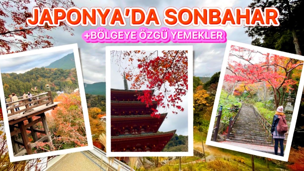 JAPONYA’DA SONBAHAR 🍁 🍂 Coca cola #Nara özel baskılı kolaları | HASEDERA TAPINAĞI