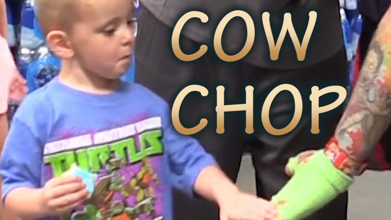 Cow Chop | STRANGERS INTERACTION Compilation