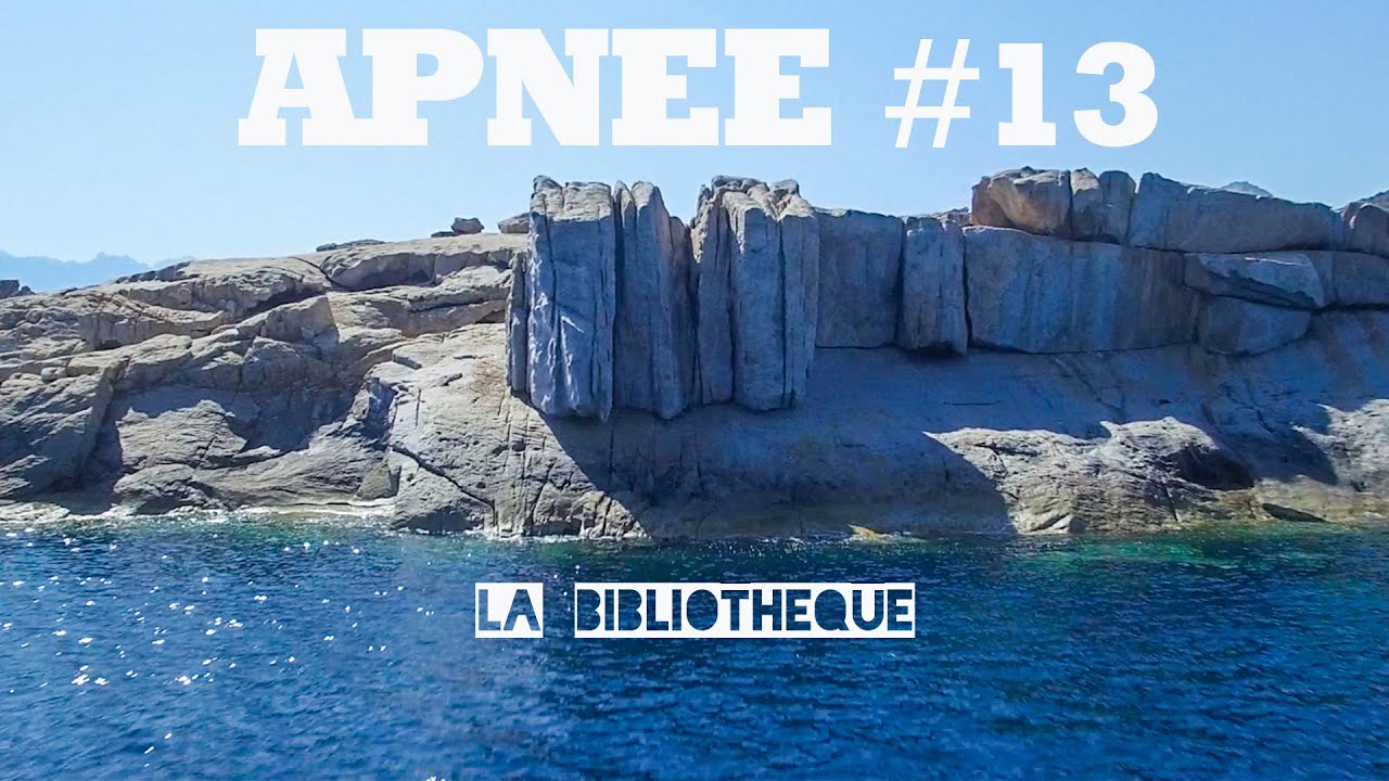 Plongée en Apnée - Corse | EXP #13 La Bibliothèque