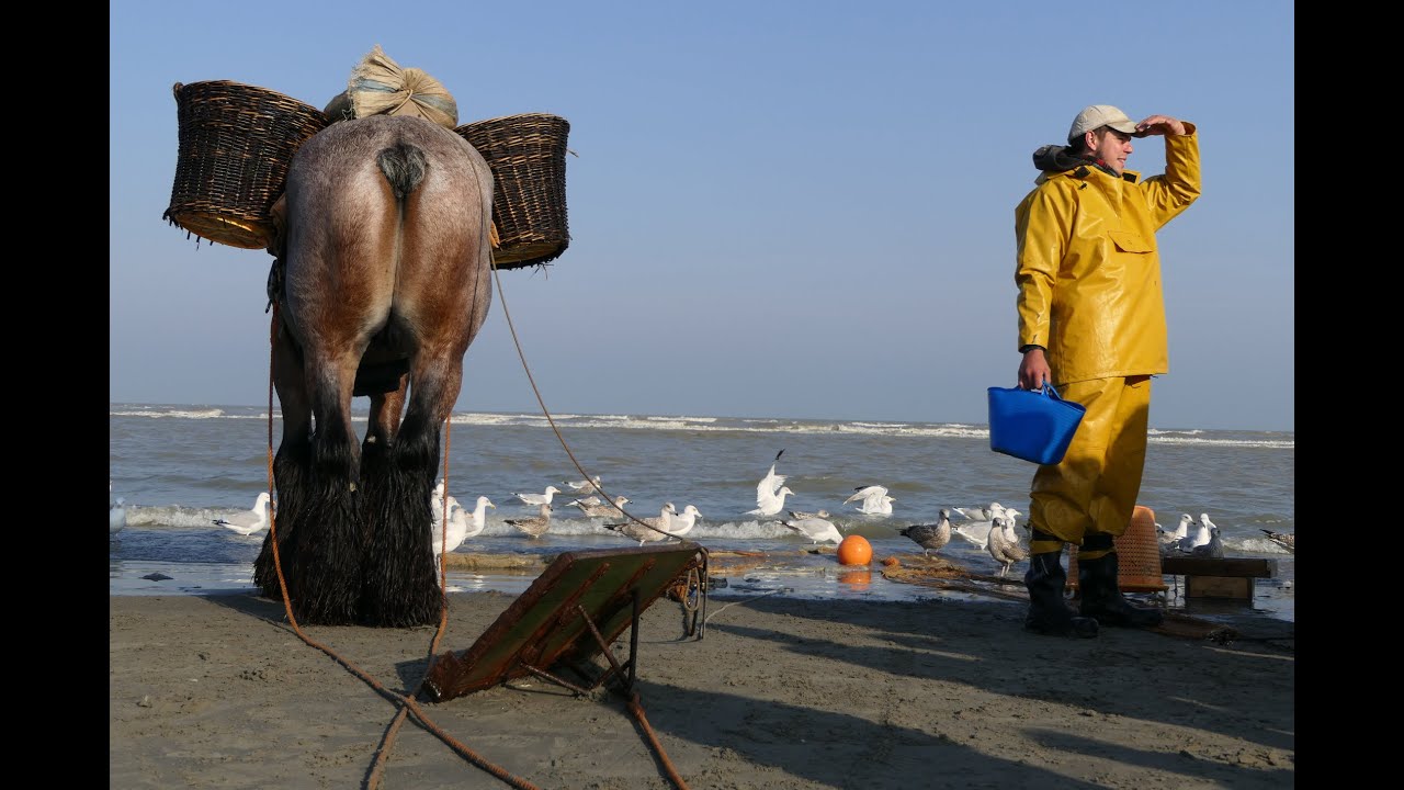 Koksijde Greeters