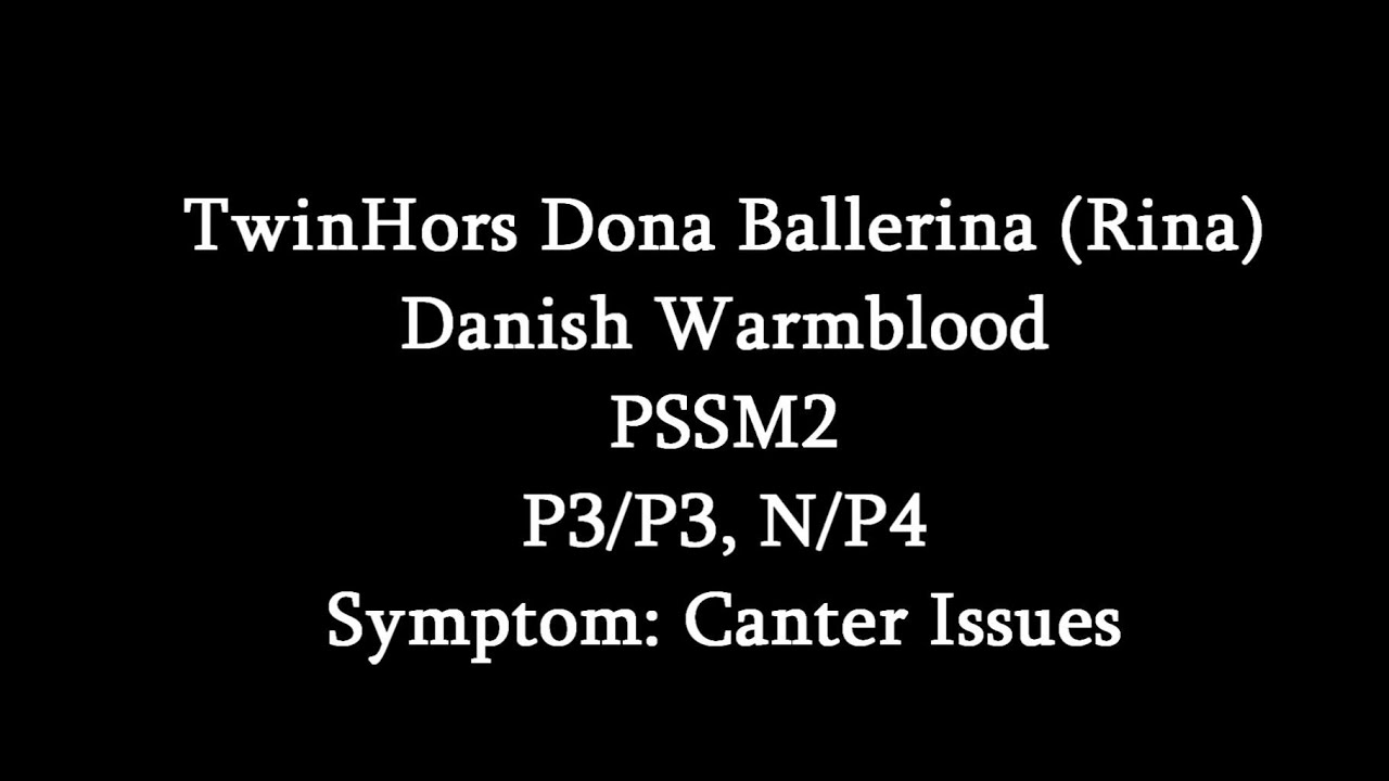 Symptoms Of PSSM2- Canter Issues (Twinhors Dona Ballerina)