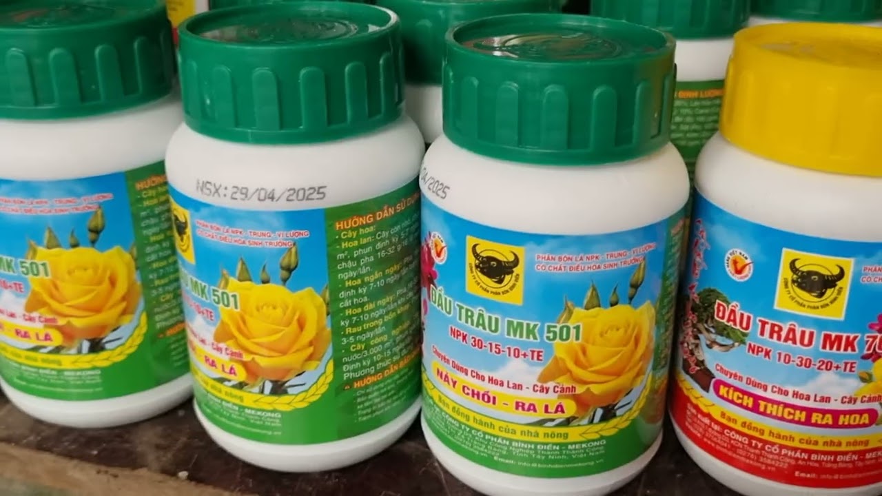 PHÂN BÓN LÁ 501 KÍCH BẬT MẦM RA LÁ , 701 KÍCH RA HOA, 901 DƯỠNG HOA LÂU TÀN #phânbónláđầutrâu