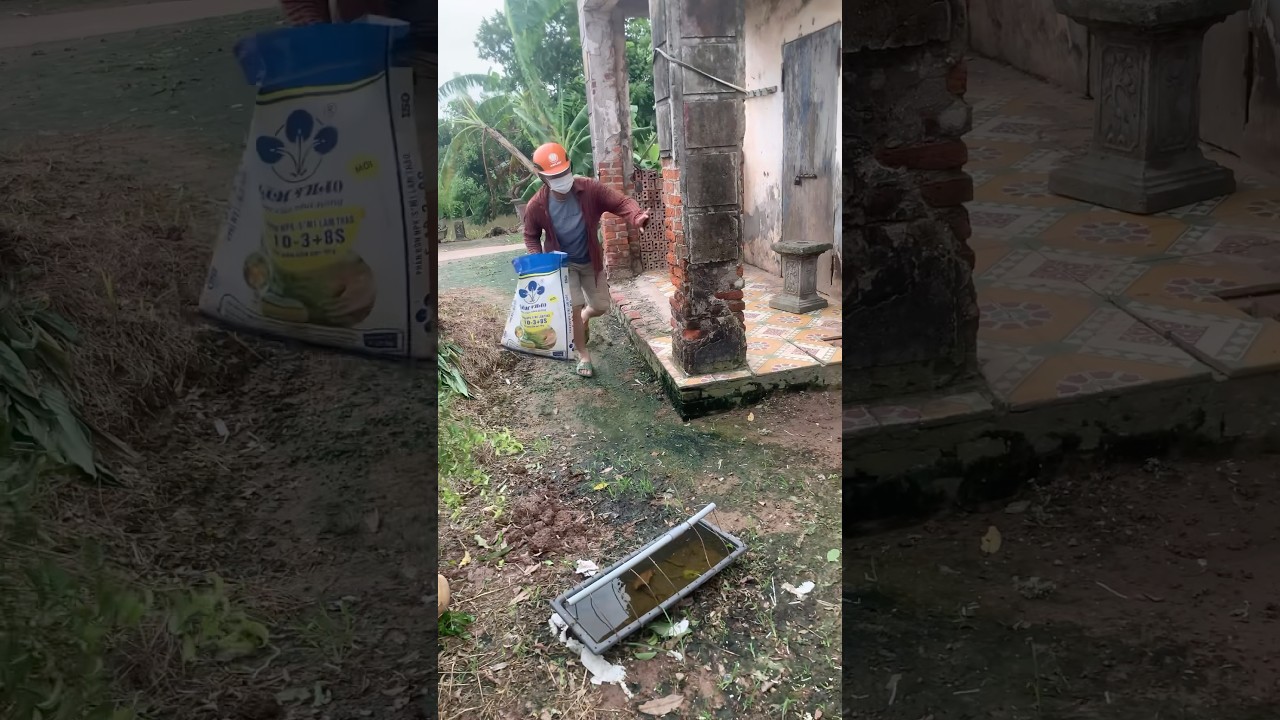 Bắt được đối tượng an trộm g&agrave; #bentre #news #thoisubentre #bentretv #bentrenews #truyenhinhbentre