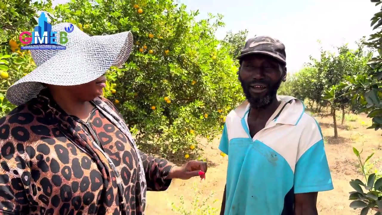 BINTA NDOW DISCUSSES LADY CAMARA'S LOVELY ORANGE FARM IN SIFFOE DURING A GMEB TV INTERVIEW.