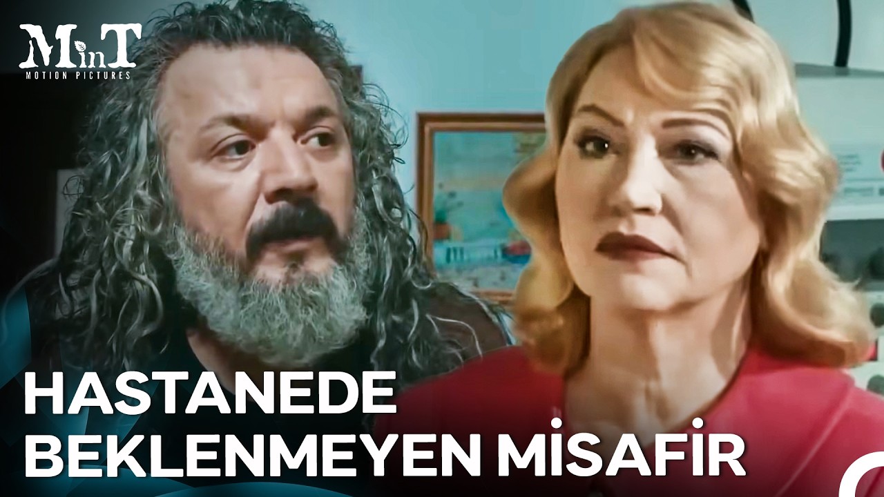 Annen Bana Çok Kızgın Ama Aşık Oldum Ne Yapayım? - Mandıra Filozofu İstanbul