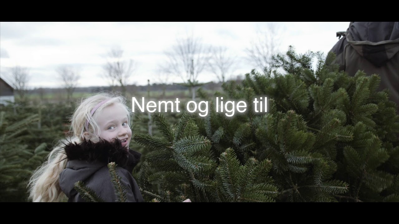 Flotte juletr&aelig;er til salg i Halsn&aelig;s