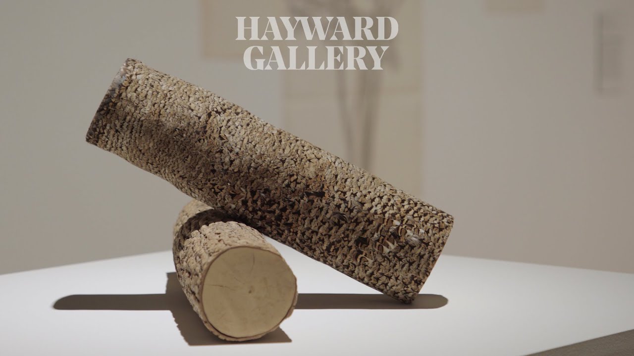 Among the Trees: Hugh Hayden | Hayward Gallery