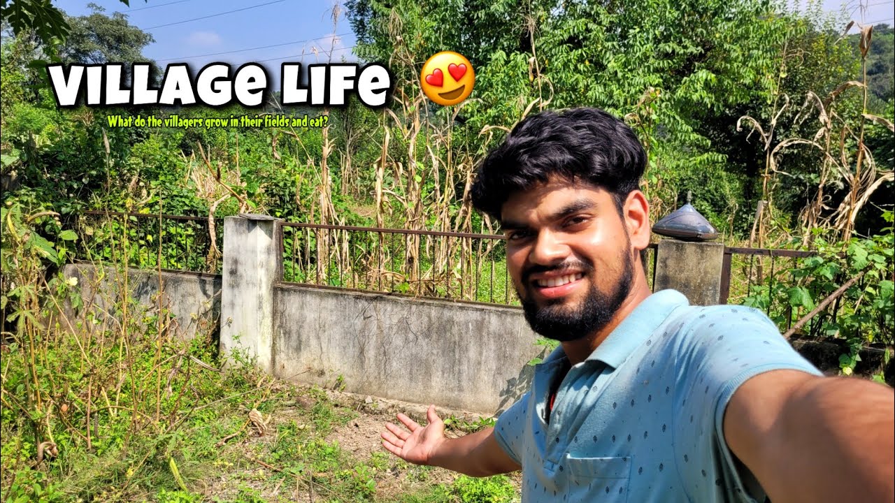Village Life 😍 - What do the villagers grow in their fields and eat | Himachal 