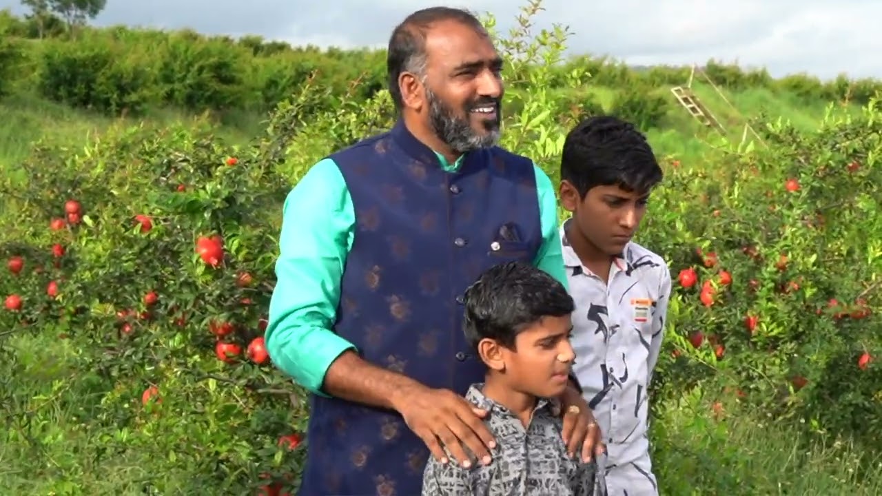 SCTवैदीक च्या विश्वासावर शेतकर्यांनी मुलासाठी केली 5000डाळींबांची लागवड॥भयंकर दुष्काळात पिकवली बाग‼️
