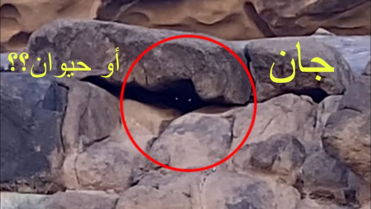 كشتة مختصرة مع سالفة الجني الذي رأيته عند المدفن