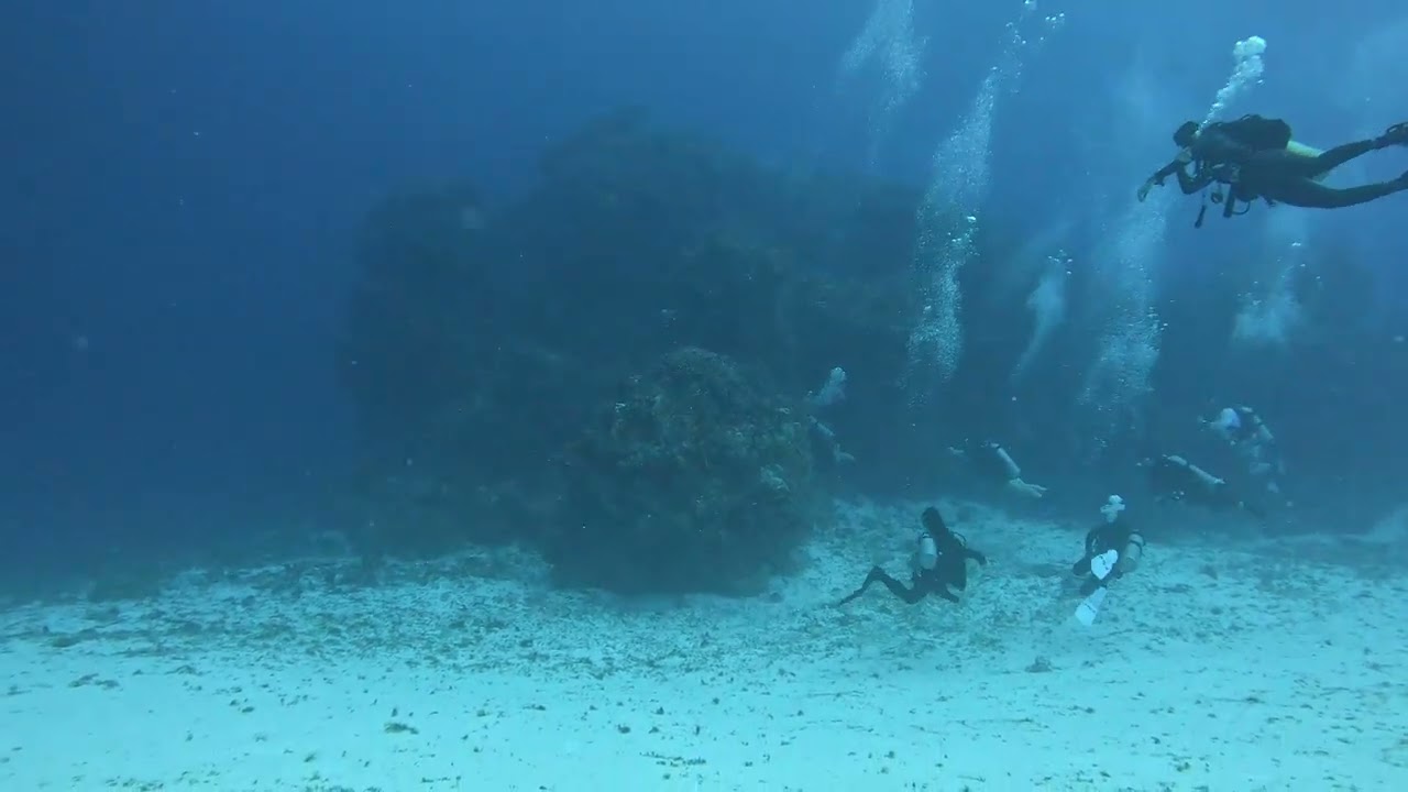 Cozumel Scuba Diving, 2-16-2024 Colombia Deep